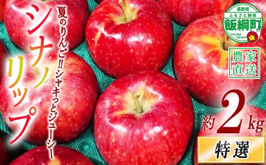 りんご シナノリップ 特選 2kg やまじゅうファーム 沖縄県への配送不可 2026年8月中旬頃から2026年9月上旬頃まで順次発送予定 令和8年度収穫分 信州の環境にやさしい農産物 減農薬栽培 長野県 飯綱町 [0850]