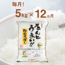 【ふるさと納税】【全12回定期便】【令和6年産新米】特A受賞 たんとう米 （ななつぼし） 5kg 《厚真町》【とまこまい広域農業協同組合】 米 コメ 白米 北海道 ブランド米 定期便 北海道産 [AXAB020] 161000 161000円