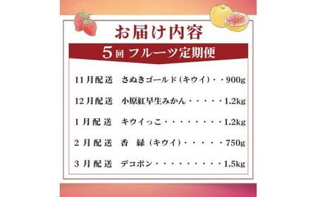 旬のフルーツ定期便 5回 Cコース フルーツ 定期便