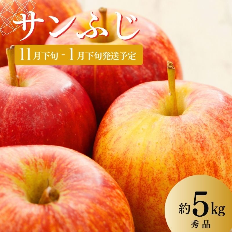 【ふるさと納税】No.2966 ししどりんご園　りんご「サンふじ」約5kg 秀品【2025年度発送】