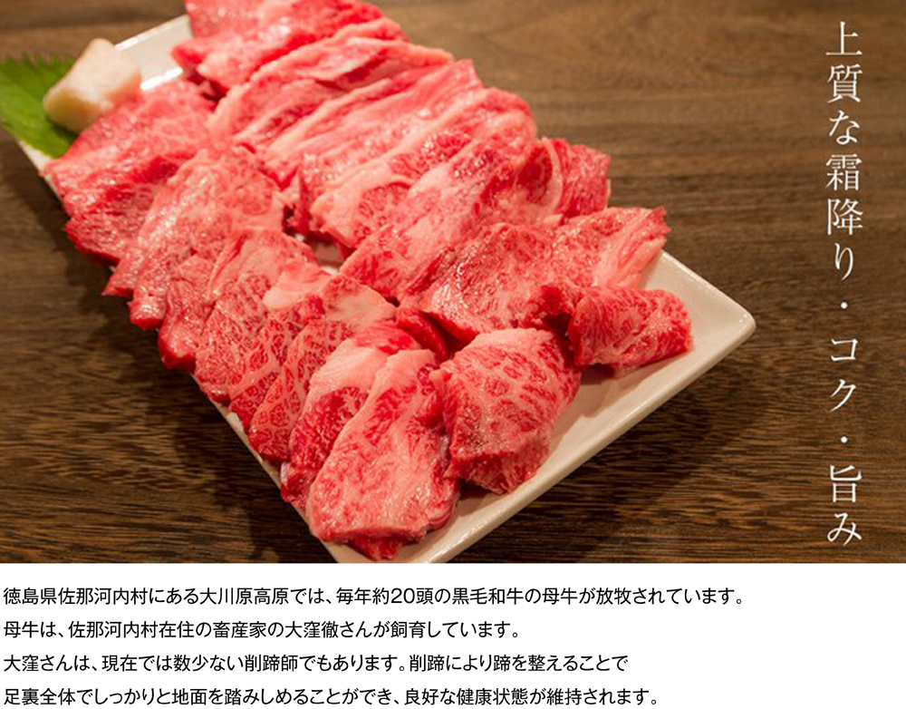 大川原高原牛　赤身・霜降り焼肉用　1kg