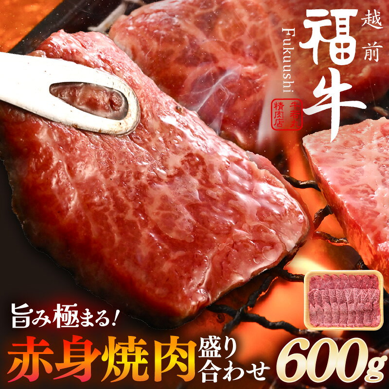 【ふるさと納税】 希少 越前福牛 旨み極まる 赤身焼肉盛り合わせ 600g 焼き肉 国産和牛 赤身肉 ブランド牛 赤身和牛 肉 牛 牛肉 キャンプ バーベキュー BBQ 冷凍 個包装 贈答 贈り物 ギフト