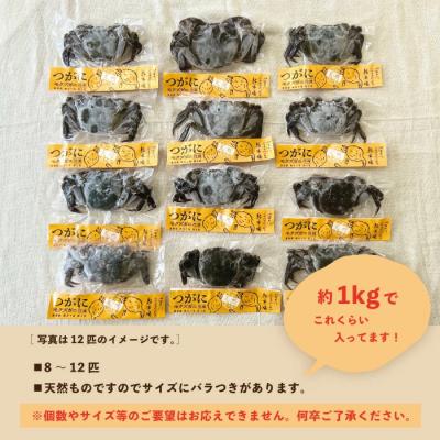 ふるさと納税 四万十市 【訳あり・数量限定!】最高級天然食材!四万十川の天然ツガニ 約1kg(8〜12匹) |  | 03