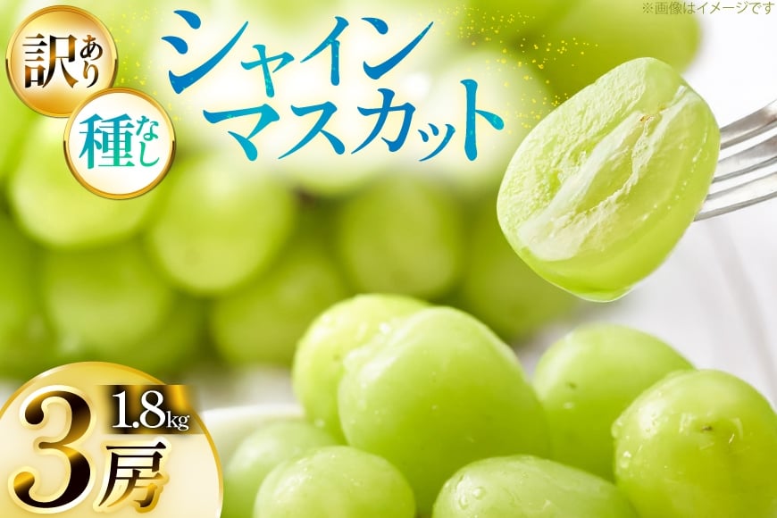 
            【期間限定発送】 シャインマスカット 訳あり 3房 1.8kg [Yamagenフルーツガーデンレコルト 山形県 高畠町 tk06ayt380004] ご家庭用 ぶどう ブドウ 葡萄 フルーツ 果物 くだもの 1.8キロ 甘い
          