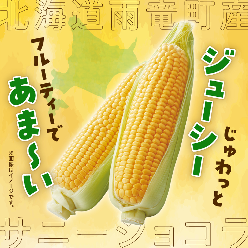 【令和7年産先行受付】生でも美味しい！ とうもろこし 「 サニーショコラ 」 10本（Lサイズ）【配送不可地域：沖縄・離島】