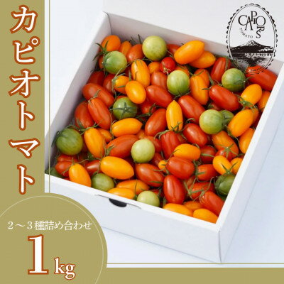【ふるさと納税】カピオトマトセレクトLサイズ(おまかせ2〜3品種の詰め合わせ1kg)【1460268】