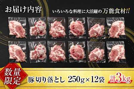 数量限定 豚切り落とし 計3kg 肉 豚 豚肉 国産 おかず 食品 お肉 しゃぶしゃぶ 送料無料_BC69-23