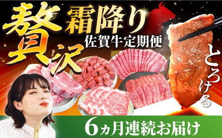 【6回定期便】佐賀牛 贅沢 霜降り 定期便 /牛肉 肉 お肉 焼肉 すきやき ステーキ 国産 九州 [IAH087]