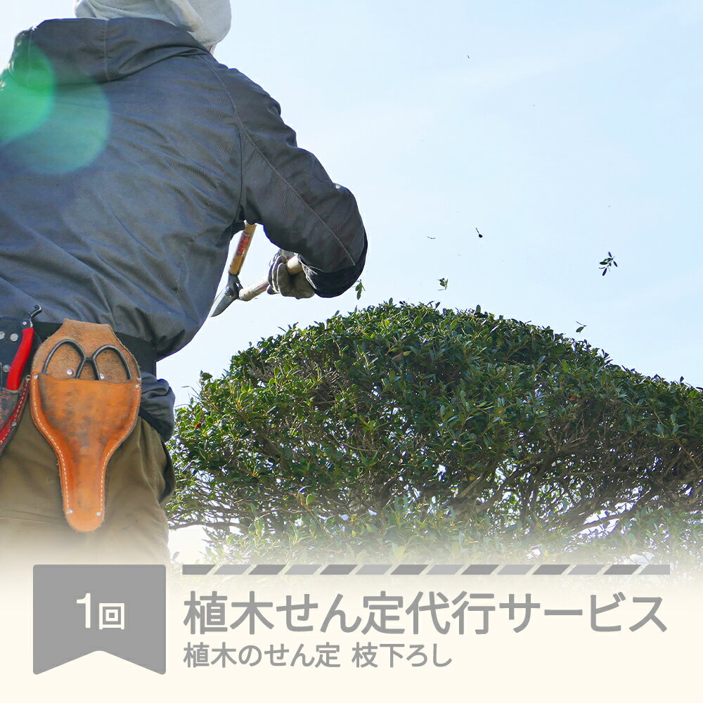 【ふるさと納税】 植木せん定代行サービス 村山市 シルバー人材センター