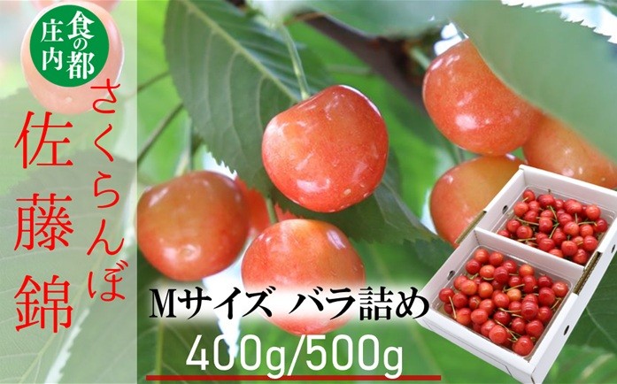 
                  ★先行予約★【令和8年産】食の都庄内　庄内産さくらんぼ「佐藤錦」Mサイズ バラ詰め　※選べる容量【400g/500g】　※令和8年6月中旬～下旬頃発送予定
                
