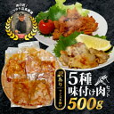 【ふるさと納税】 【訳あり】 味付け肉 5種類 セット 500g 特製つけだれ 味付け肉 漬け込み肉 お手軽焼肉 今夜の一品 焼くだけ てっちゃん みそ味 とりもも 塩だれ味 ミノ