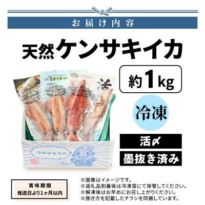 ふるさと納税 美浜町 【活きたイカをご提供している漁師が活〆!鮮度格別】急速冷凍したお刺身で食べるケンサキイカ約1kg |  | 03