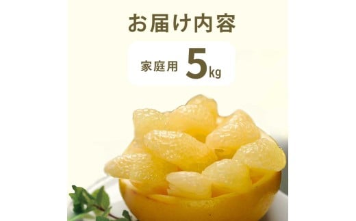 文旦 約5kg 5キロ L～4Lサイズ 土佐文旦 みかん 柑橘 ぶんたん ブンタン 果物 フルーツ デザート おやつ 三愛果樹園の土佐文旦 おいしい 美味しい 規格外品 お取り寄せ 常温 配送