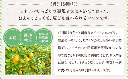 【先行予約】 レモン 食べるレモン スイートレモネード 約2kg（15～25玉）【吉田レモニー】【2025年12月上旬～2026年6月上旬発送】国産レモン 宇城市産レモン 熊本県産レモン グリーンレモ