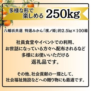 特選みかん「濱ノ姫」計250kg(約2.5kg×100箱)【H08-80】【1510457】