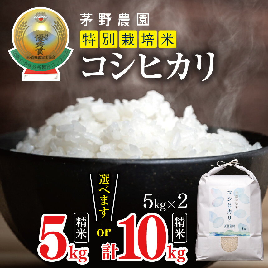 【ふるさと納税】*コシヒカリ 選べる 内容量 5kg / 10kg 【令和7年度産先行予約】 | 茅野農園 米 こめ コメ お米 白米 はくまい 精米 コシヒカリ 特別栽培米 栽培米 優秀賞 金賞 長野県 松川村 信州