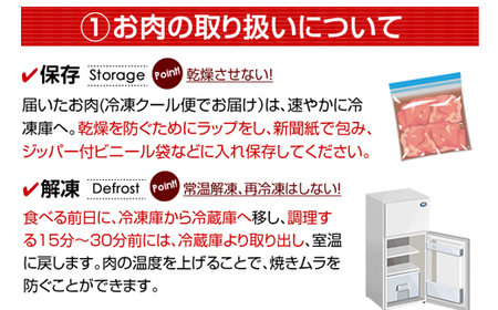 佐賀牛プロ用ブロック肉（ロース350g、モモ肉350g）D300-008