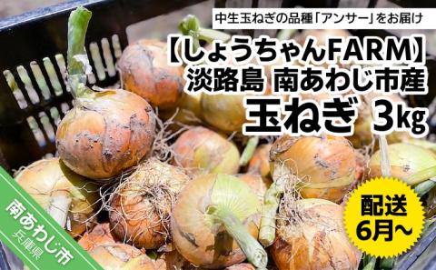 淡路島 南あわじ市産玉ねぎ3kg　◆配送6月～