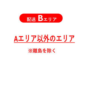 【サカイサイクル】【電動アシスト自転車】【幼児二人乗せ対応】【パンクしにくい】PAL-ARMOUR 抹茶