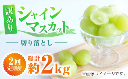 
【先行予約】【2回定期便】訳あり シャインマスカット 切り落とし 約1kg 【合同会社 社方園】わけあり マスカット ぶどう 熊本 [ZBZ010]
