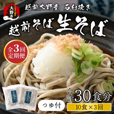 ふるさと納税 大野市 【3ヶ月定期便】越前大野産 石臼挽き 越前そば 生そば10食 × 3回 計30食(つゆ付)