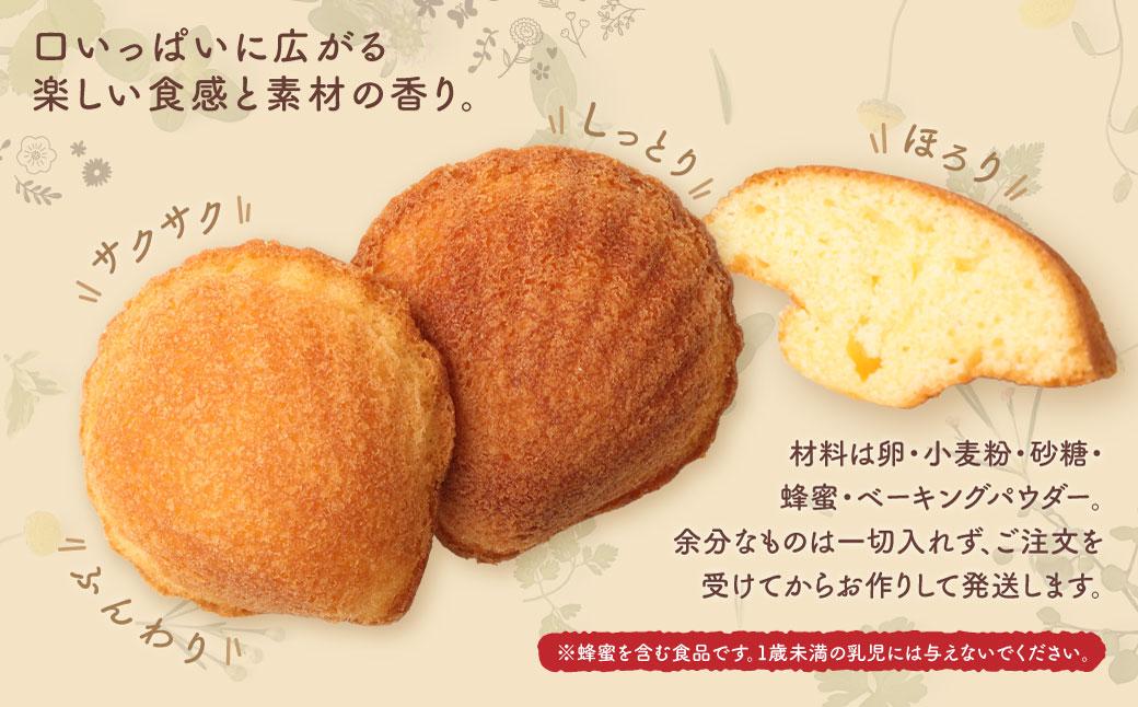 宮前区産 新鮮卵のはちみつマドレーヌ 20個入り