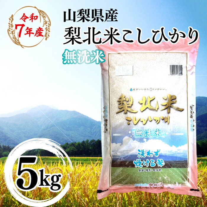 【ふるさと納税】【山梨のブランド無洗米】山梨県産 梨北米こしひかり　5kg 米 ふるさと納税 精米 国産 送料無料 コメ こめ ブランド米 送料無料 お取り寄せ ごはん ご飯 ギフト 贈り物 プレゼント 山梨県 送料無料 115-010