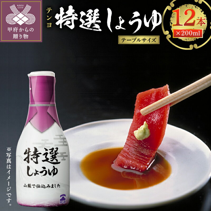 【ふるさと納税】調味料 しょうゆ セット 特選 テンヨ 新鮮 ボトル k023-051