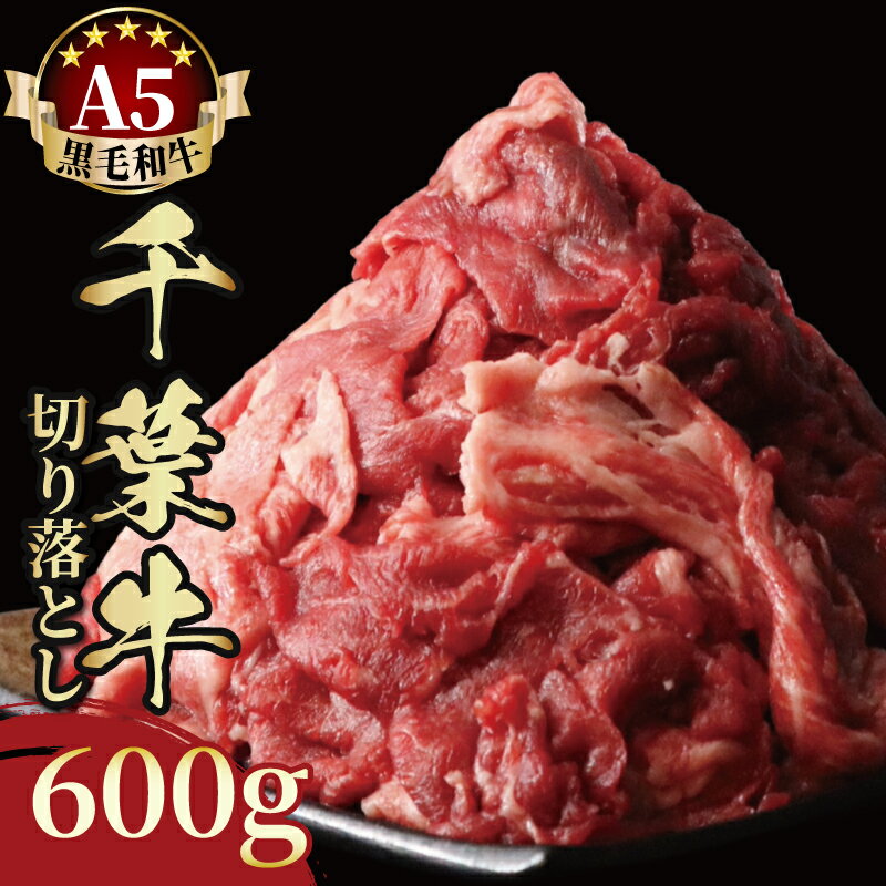 【ふるさと納税】 牛肉 切り落とし 千葉牛 A5 訳あり 黒毛和牛 600g 牛 国産 国産牛 肉切り落とし 牛切り落とし 牛肉切り落とし 黒毛和牛 和牛 A5ランク スライス 牛肉スライス すき焼き 肉じゃが 牛丼 カレー ギフト プレゼント 贈り物 千葉県 旭市 株式会社SCミート ksc002