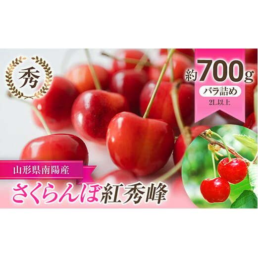 【令和7年産先行予約】 さくらんぼ 「紅秀峰」 約700g (秀 2L以上) バラ詰め 《令和7年6月下旬～発送》 『生産者 佐藤 勇二』 サクランボ 果物 フルーツ 産地直送 生産農家直送 山形県 南陽市 [891]