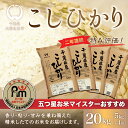 【ふるさと納税】【新米】令和6年産 2年連続特A評価!千葉県産コシヒカリ20kg（5kg×4袋） ふるさと納税 米 お米 20kg 千葉県産 大網白里市 コシヒカリ 精米 こめ 送料無料 E003