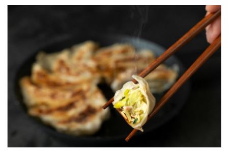 冷凍餃子 生餃子 135個 丹波市 野菜たっぷり 手作り ギョウザ 野菜餃子