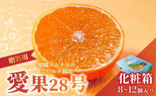 愛果28号 (紅まどんな と同品種)  みきゃん 化粧箱 8玉から12玉 【2026年11月下旬より順次発送】  あいか 紅まどんな 紅マドンナ と 同品種 高級 みかん 愛媛  まどんな 柑橘  果