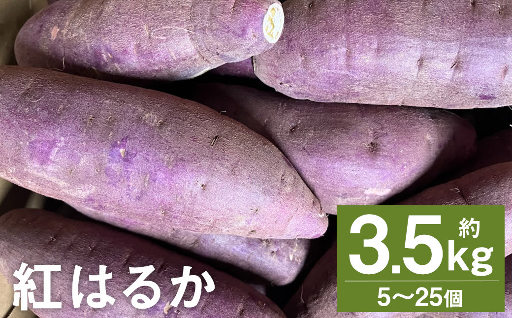 
            紅はるか 約3.5kg （5～25個） さつまいも サツマイモ 芋 いも 野菜 やさい 国産 【2025年11月下旬～2026年4月上旬発送予定】 st-p
          