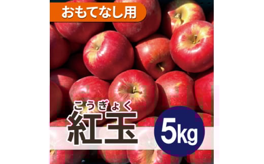 ＜25年11月出荷予定＞ 紅玉 約5kg おもてなし用【1612074】