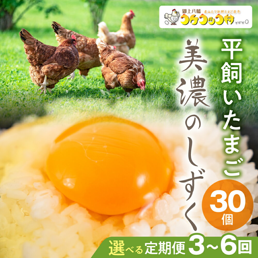 【ふるさと納税】【選べる定期便3回 6回】新鮮たまご 郡上八幡コケコッコ村の平飼い地養卵『美濃のしずく』30個入ギフトセット / 食品 卵 鶏卵 卵 たまご 平飼い 定期便 卵 たまご 玉子 タマゴ 鶏卵 オムレツ 卵 卵かけご飯 たまご焼き 国産 10000円 30000円 60000円G0269