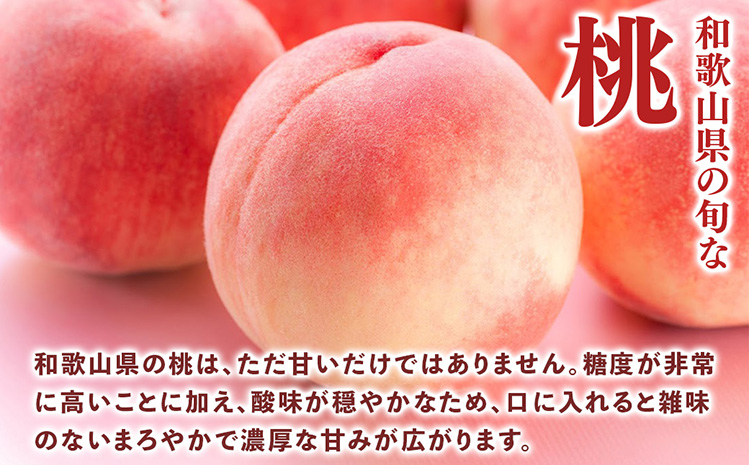 先行受付!　旬の桃　(特秀品)　約2kg　6～9個入