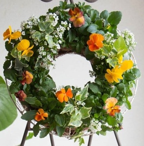 【先行予約】 花 育てる パンジー ビオラ ハンギング リース 寄せ植え 生花 自然 お花 植物 フラワー ギフト ガーデニング 飾り 庭 ベランダ 壁掛け 贈り物 静岡県 藤枝市 2025年11月よ