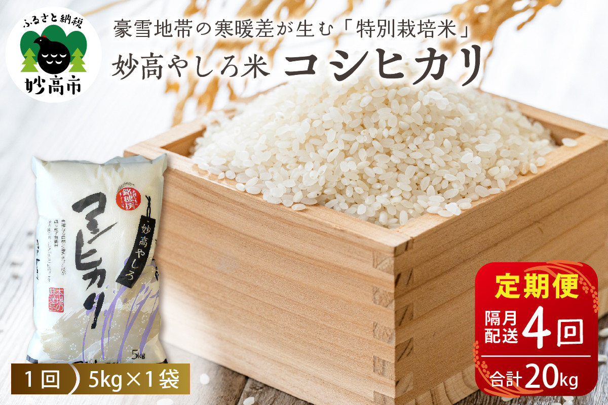 
                  【先行予約】 令和8年産 【定期便：隔月4回】 新潟県 妙高やしろ米 コシヒカリ20kg (5㎏×4回) 【11月中旬より発送】 定期便 隔月 お米 米 コメ 精米 新潟 妙高市 米どころ こめ ご飯 ごはん ライス 弁当
                