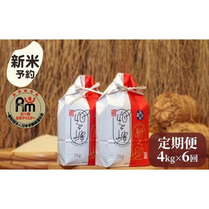 【ふるさと納税】【令和7年産新米予約】米 定期便 新之助 南魚沼産 24kg ( 2kg × 2袋 × 6ヶ月 ) 五つ星 お米マイスター【2025年10月下旬より順次発送予定】 | お米 こめ 白米 新之助 食品 人気 おすすめ 送料無料 魚沼 南魚沼