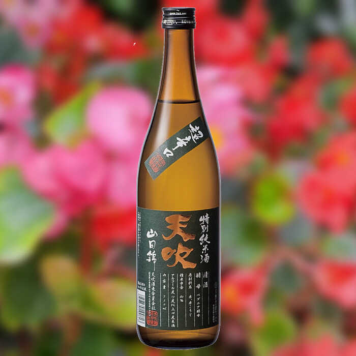 【ふるさと納税】天吹 超辛口特別純米 生・火入れ 飲み比べ 各720ml×1本 / 日本酒 お酒 銘酒 地酒 / 佐賀県 / 天吹酒造合資会社 [41ANCX014]
