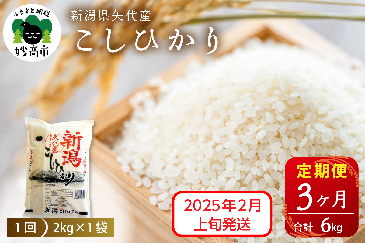 【2025年2月上旬発送】令和6年産 新潟県矢代産コシヒカリ2kg×3回（計6kg）