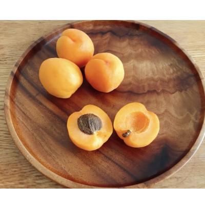 ふるさと納税 長野県 生あんず 生食用 (ニコニコットまたはサニーコット)約1.2kg(小サイズ) 長野県産 産地直送