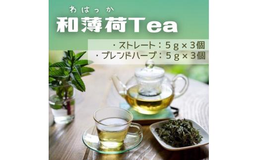 
和薄荷Tea010-011
