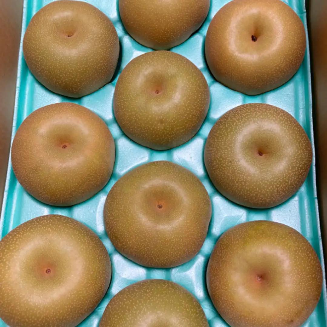 にっこり梨 約5kg 【2026年10月より発送開始】（茨城県共通返礼品 [梨]：大子町産）