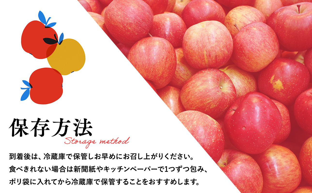 ≪1月発送≫【訳あり】家庭用 サンふじ3?【青森県 平川市 丸勝木村商店】平川市産 青森りんご りんご リンゴ 林檎 ふじ 訳あり 家庭 わけあり お取り寄せ 先行予約 果物 くだもの フルーツ 