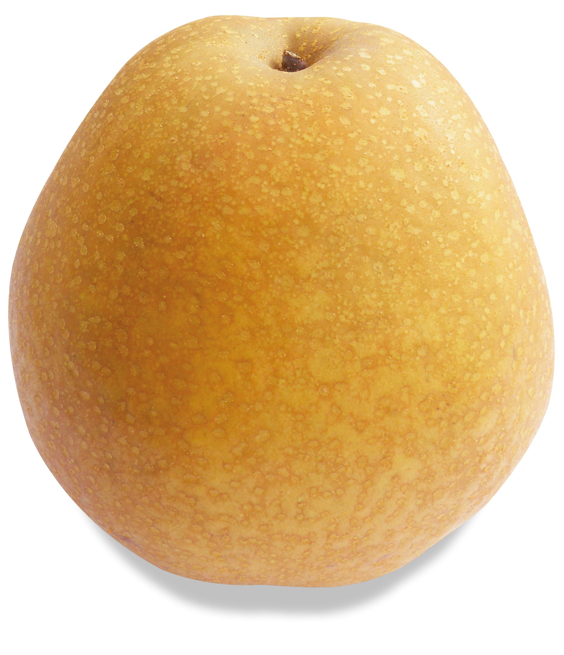 鳥取県産 王秋梨 “赤秀”５kg（6?8玉入）