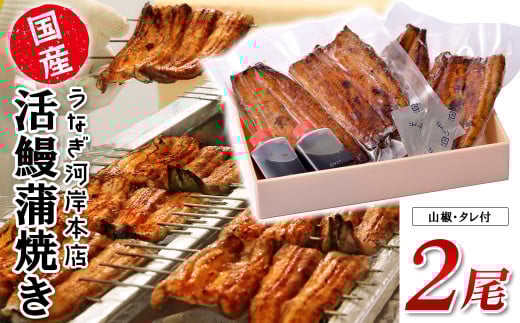 K2544 うなぎ河岸本店 【国産】 鰻蒲焼き 2尾 山椒/タレ付 ウナギ