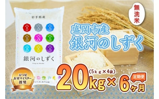 【6か月定期便】盛岡市産銀河のしずく【無洗米】20kg×6か月