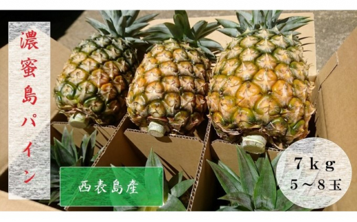 
2024年 先行予約 島パイン (ハワイ種) 約7kg 5～8玉 ますみ農園 ”蜜たっぷり” パイン パイナップル 果物 フルーツ
